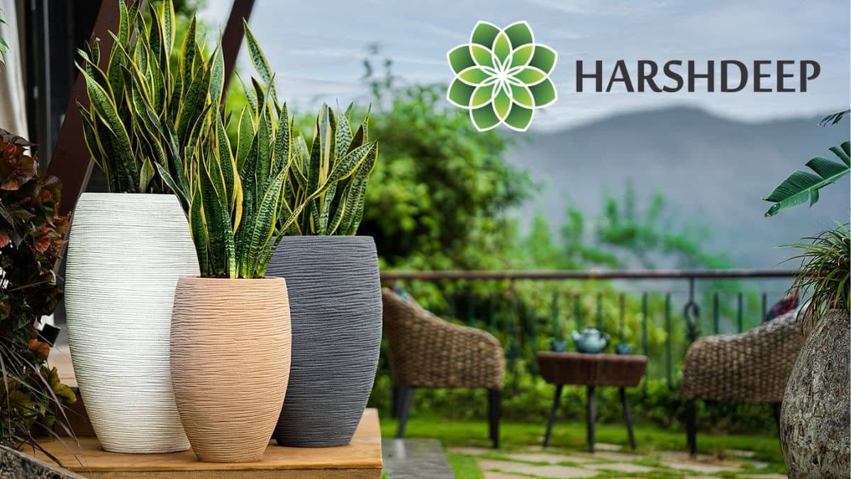 Harshdeep Hortico Limited Reports Strong Operating Results for the year Ended March 31, 2024